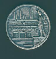 "Csepel Vas- és Fémművek" nívódíja nagyalakú Ffm emlékplakett T:2