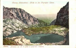 Tátra, Kilátás az Öt tó felől a poprádi rónára. Cattarino Sándor kiadása 183. sz. / Kleines Kohlbachthal: Blick in die Poprader Ebene / lake, plains (EK)