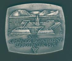 1971. "XIII. Országos Borverseny - Sárospatak" nagyalakú Ffm díjérem T:2 hátlapon k