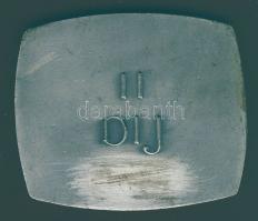 1971. "XIII. Országos Borverseny - Sárospatak" nagyalakú Ffm díjérem T:2 hátlapon k