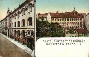 Budapest IX. Rákos utca 7. (ma Hőgyes Endre utca) Pasteur Intézet és Kórház (EK)