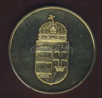 "Vám- és Pénzügyőrségért" nagyalakú aranyozott Br emlékplakett T:2 ph