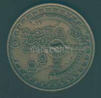 1988. "Szent Jobb országjárása" nagyalakú Br emlékplakett szign.: Bozó T:1