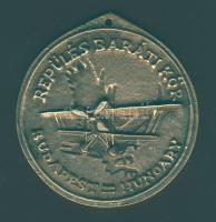 1993. "Repülés Baráti Kör" nagyalakú Br díjérem T:2