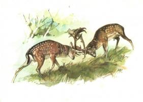 13 db modern állatos, vadászos motívumlap Muray Róbert grafikáival / 13 modern animals and hunting m...