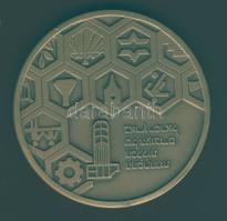 Izrael nagyalakú matt Br emlékérem T:2+