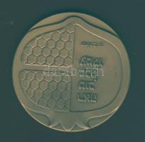 Izrael nagyalakú matt Br emlékérem T:2+