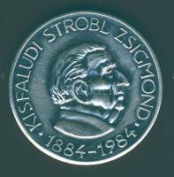 1984. "MÉE - Kisfaludi Strobl Zsigmond" patinázott Ffm emlékérem T:2
