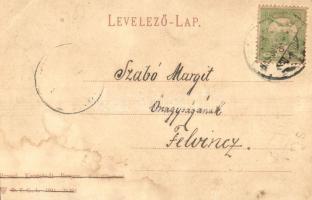 1905 Brassó, Kronstadt, Brasov; Noa, vendéglő a kirándulóhelyen terasszal / restaurant with terrace ...