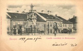 1899 Eperjes, Presov; Caraffa-vesztőhely és Mária szobor, Wohl Izidor és bútorraktár üzlet / martyrs monument and statue, shops
