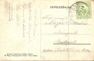 Adony, Fő utca, üzletek, 1900-ban épült ház előtti tömeg, kerékpáros. Wessely Testvérek kiadása (EK)