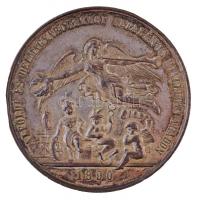 1890. Az érdem jeléül / Alföldi és Délmagyarországi Általános Kiállítás Aradon ezüstözött Cu emlékérem Knopp és Steiner Budapesten gyártói jelzéssel (42,86g/44,5mm) T:2,2- patina, ph., kopott ezüstözés / Hungary 1890. As the Sign of Merit / General Exhibition of Alföld and South Hungary in Arad silvered Cu commemorative medal with Knopp és Steiner Budapesten makers mark (42,86g/44,5mm) C:XF,VF patina, edge error, worn silver plating