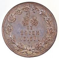 1890. "Az érdem jeléül / Alföldi és Délmagyarországi Általános Kiállítás Aradon" ezüstözöt...