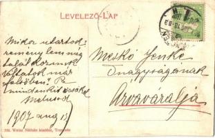 Trencsén, Trencín; Erzsébet szálloda, vár, híd. 356. Weisz Náthán kiadása / hotel, castle, bridge (E...