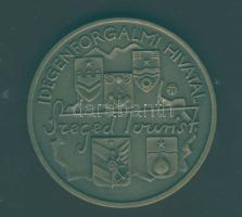 1996. "Ópusztaszer 896" matt Br emlékérem T:1