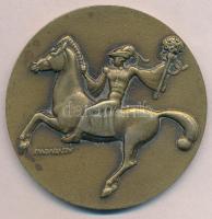 Madarassy Walter (1909-1994) DN "Budapest Sport Egyesület Fotószakosztálya" bronzozott fém...