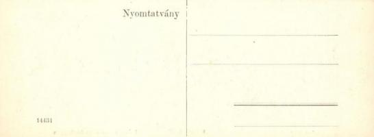 Budapest XI. Gellérthegy műteremmel, Orlay utca villákkal. mini képeslap / minicard (18 cm x 6,8 cm)