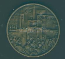 1979. "Magyar Tanácsköztársaság" matt Br emlékérem eredeti plombált műanyag ÁPV tokban T:1