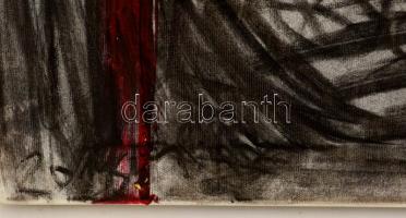 Menyhárt Tamás (1966-): Henk Csaba 2016. Vegyes technika, vászon, jelzett,  80×60 cm