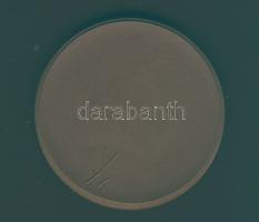 NDK 1968. "XV. Nemzetközi Modellvasút Kiállítás - Drezda" nagyalakú porcelán emlékérem T:1