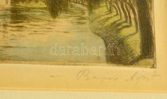 Bajor Ágost (1892-1958): Vajdahunyad vára. Színezett rézkarc, papír, jelzett, üvegezett keretben, 12...