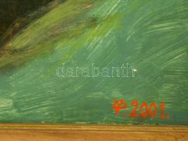 Veres Péter (1943-): Fürdőzök. Olaj, farost, jelzett, keretben, 57×57 cm