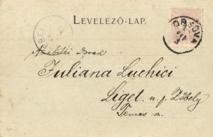 1899 Orsova, Canal beim Eisernen Thor / Hajózási csatorna a Vaskapunál, gőzhajó, tömeg. Hutterer G. ...