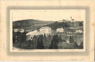 Neuhaus bei Weissenbach, Burg. Verlag v. J. Tüchler / general view, castle (fl)