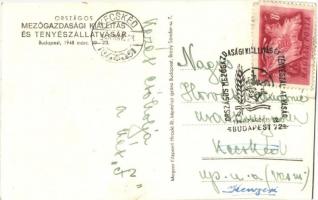 1948 Budapest, Országos Mezőgazdasági Kiállítás és Tenyészállat Vásár, Győző Béla és Társa szivattyú...