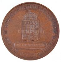 1899. "Ferenc József / A kertészet és gyümölcsészet terén szerzett érdem elismeréseül - Gróf Be...