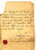 1870 Főesperesi kinevező oklevél Tolnába  Pollák János (1824-1884) teológiai doktor, egyetemi tanár ...