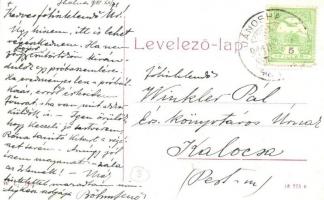 1911 Jánoshalma, Posta utca, Kazinczi Ferencz üzlete. W.L. 1907