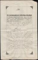 1850 Bírósági ítélet gróf Nádasdy Ferenc (1801-1883) aláírásával és papírfelzetes viaszpecséttel