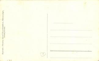 Dunaharaszti, Rákócziliget, Rákóczyliget; Fösvény József fűszer, csemege és dohánytőzsde üzlete és s...