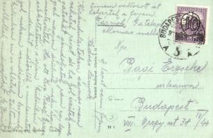 1931 Tárnok, Községháza, Hangya fogyasztási szövetkezet üzlete és saját kiadása