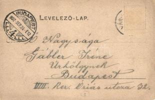 1902 Várpalota, Városháza, Izraelita templom, zsinagóga / town hall, synagogue (EK)