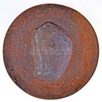 Erdey Dezső (1902-1957) 1948. "Aquinói Szent Tamás" Br emlékérem (107mm/233g) T:2 / 
Hung...