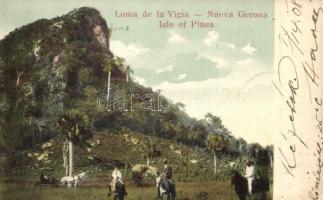 Nueva Gerona, Loma de la Vigia, Isle of Pines, palm trees (EM)