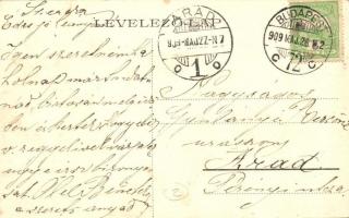 1909 Pozsony, Pressburg, Bratislava; Vaskutacska, Ferdinánd király vasfürdő / Eisenbrünnel (Eisenbrü...