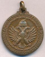 Olaszország 1941. "Medaglia Commemorativa della 9a Armata Campagna Greco-Albanese (9. Hadsereg ...