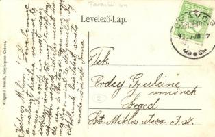 Csávos, Graniceri, Ciavos; Temes híd. Weigand Henrik fényképész / Timis bridge