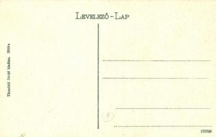 Fogaras, Fagaras; Fő tér, Johann Pichler, Thierfeld Dávid és Novák János üzlete, népbank, Mercur szá...