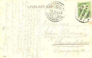 1914 Karánsebes, Caransebes; Kukojova hegy részlete, híd. W. L. (?) 339. / mountain and bridge