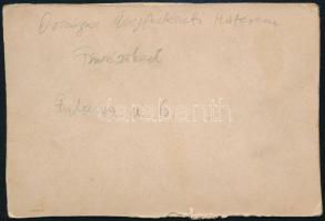 cca 1880 Budapest, Füvészkert, az Országos Üvegfestészeti Műterem épülete, fotó, hátulján feliratozv...