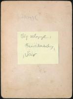 cca 1880 Vágváralja/Vág-Pohrágy, Považské Podhradie, faúsztatás a Vág folyón, fotó, hátulján felirat...