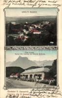 1925 Vaskoh-Barest, Körösbarafalva, Vascau; Koroj-féle áruház és Viktória szálloda. Kiadja Koroi P.J. / shop and hotel