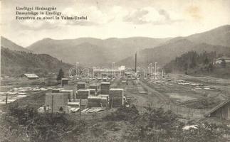 Úzvölgye, Valea Uzului; Fűrészgyár. Adler és fia / Dampfsäge / Ferestreu cu aburi / steam sawmill