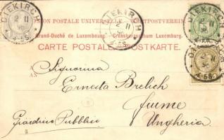 1896 (Vorläufer!) Diekirch (Luxembourg); Partie du jardin, Institution Weyers-Goedert pensionnat int...
