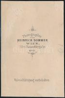 cca 1860 Pozsony látképe, fotó Heinrich Sommer bécsi műterméből, feltehetőleg a "Reise an der D...