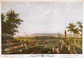 A BSZKRT tíz éve 1923-1933. Budapest közúti vasúti közlekedésének fejlődése 1865-1922 és a BSZKRT tí...